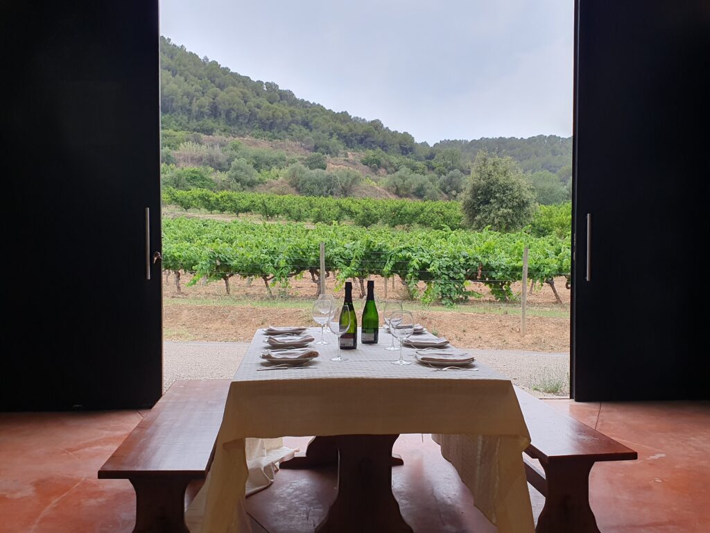 Viñedos con una mesa montada para una comida especial