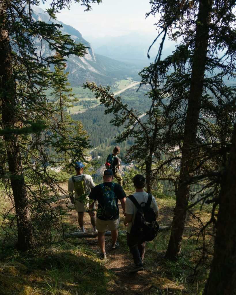 Paseo por el bosque